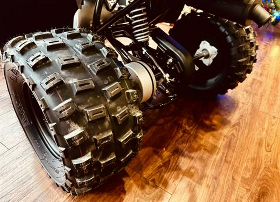 2026 Yamaha Raptor 110