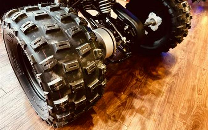 2026 Yamaha Raptor 110