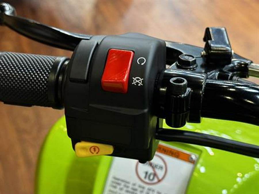 2026 Yamaha Raptor 110