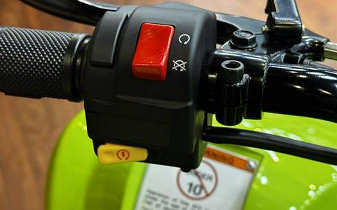 2026 Yamaha Raptor 110