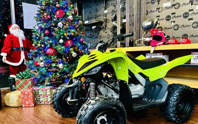 2026 Yamaha Raptor 110