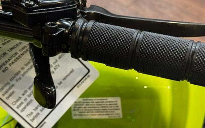 2026 Yamaha Raptor 110