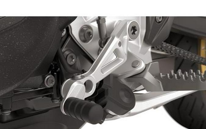 2025 BMW F 900 GS