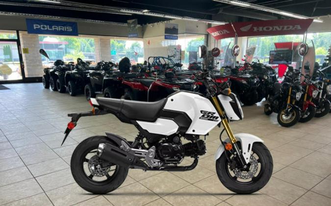 2025 Honda® Grom