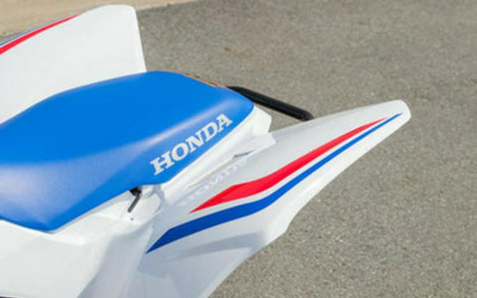 2026 Honda TRX 250X
