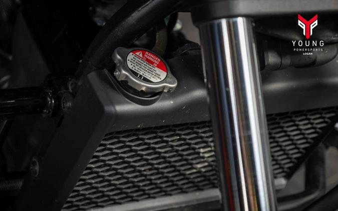 2022 Honda Rebel 300