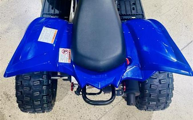 2026 Yamaha Raptor 110