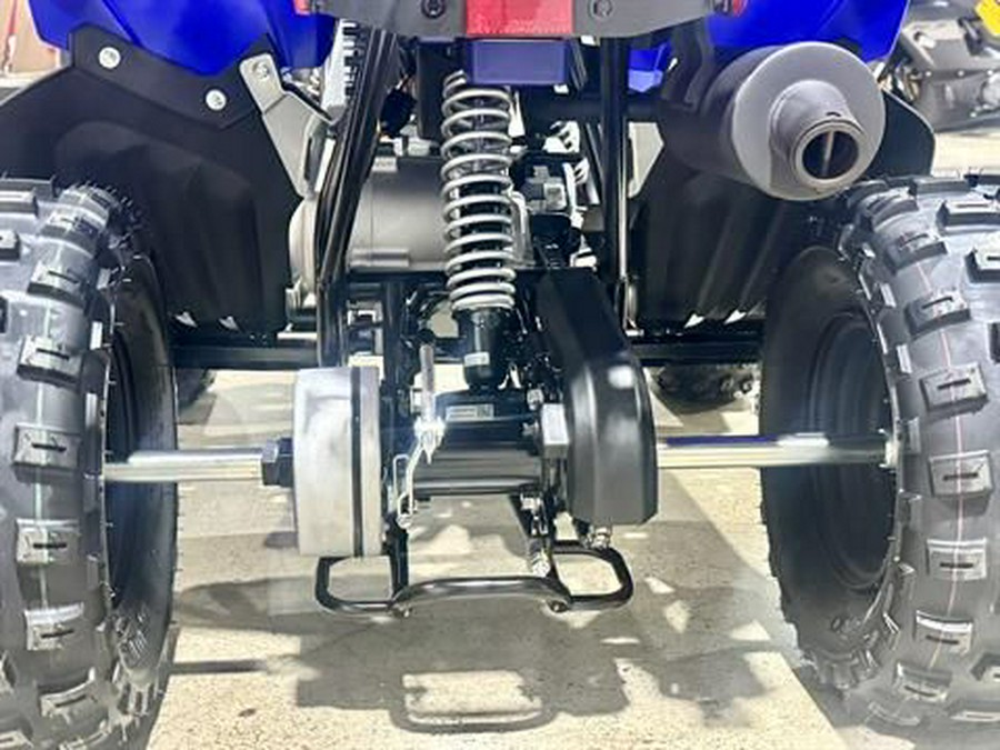 2026 Yamaha Raptor 110