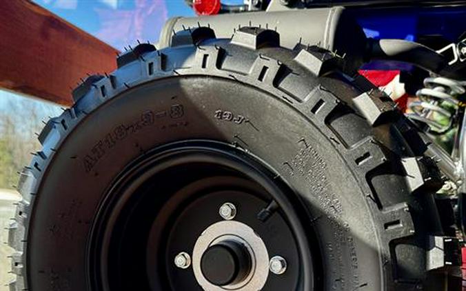 2026 Yamaha Raptor 110