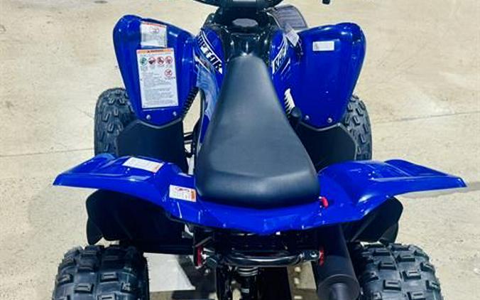 2026 Yamaha Raptor 110