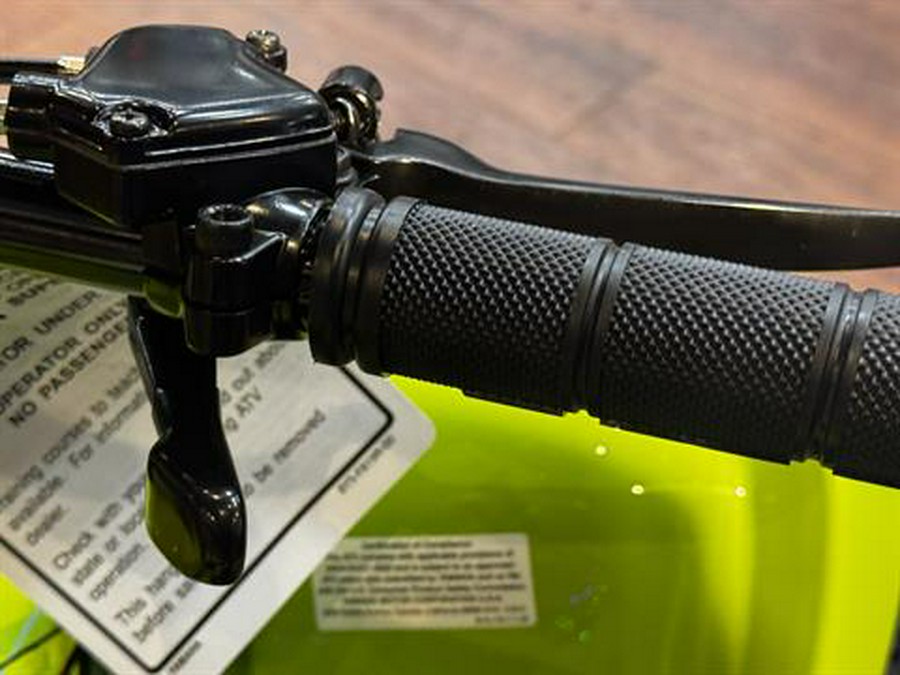 2026 Yamaha Raptor 110