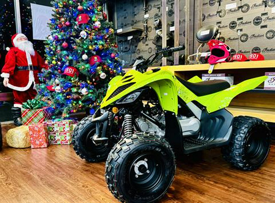 2026 Yamaha Raptor 110