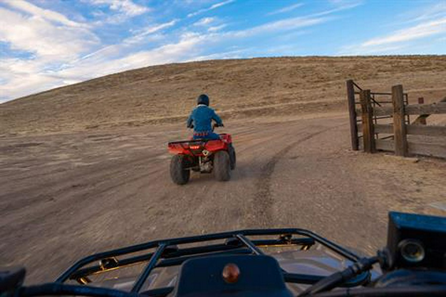 2022 Honda FourTrax Recon ES