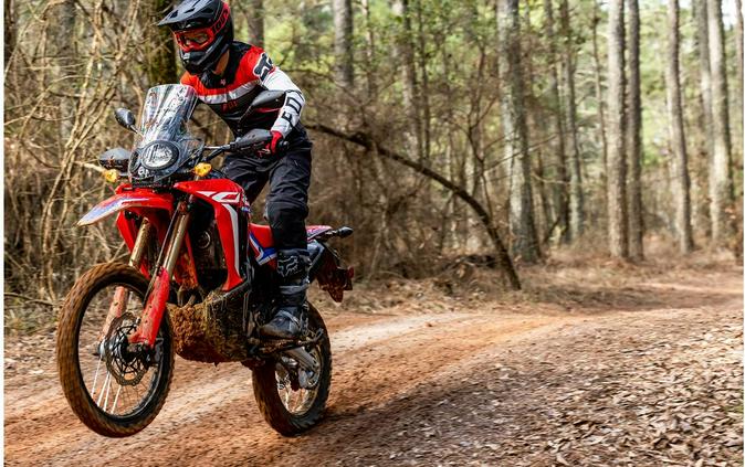 2023 Honda CRF300LS Review (A Dozen Dual-Sport Fast Facts)