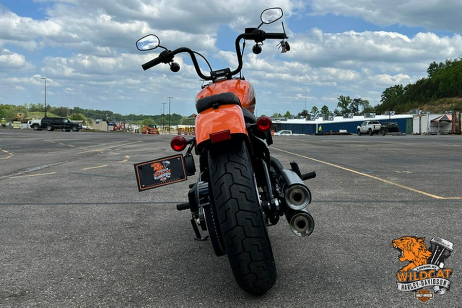 2024 Harley-Davidson Softail FXBBS - Street Bob 114