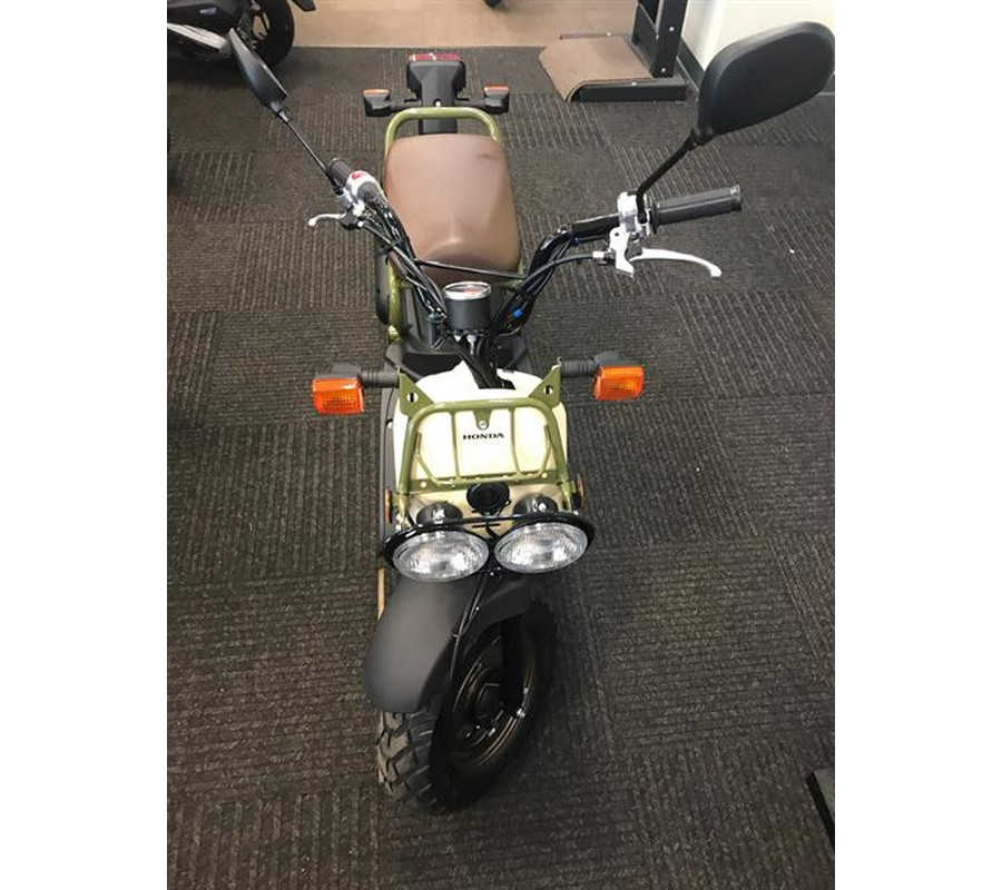 2024 Honda Ruckus