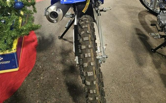 2025 Yamaha TT-R 125LE