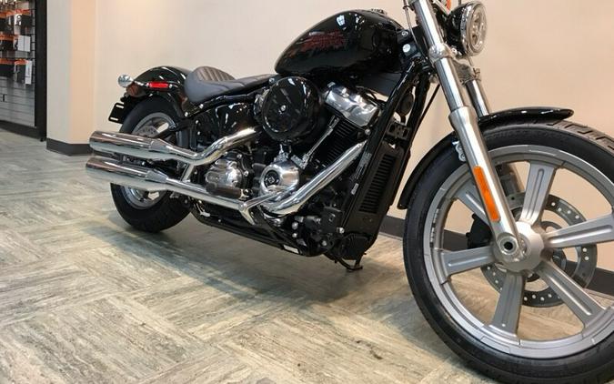 2024 Harley-Davidson® Softail® Standard Vivid Black