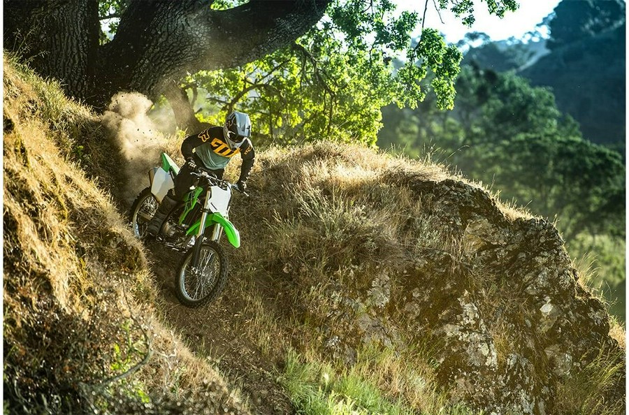 2023 Kawasaki KLX300R