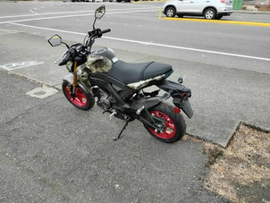 2026 Kawasaki Z125 Pro