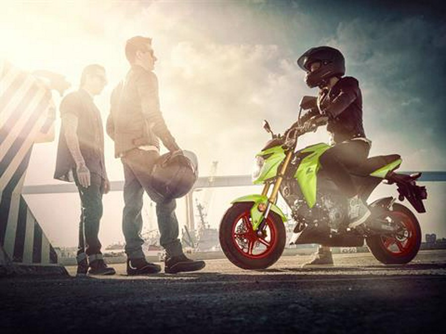 2026 Kawasaki Z125 Pro