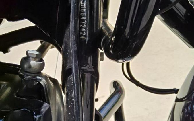 2021 Harley-Davidson Road Glide® Special