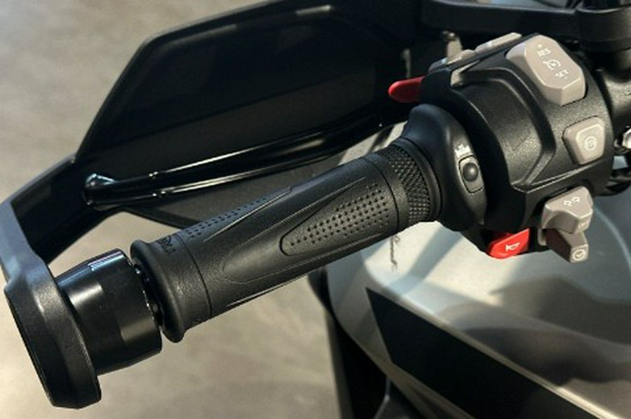 2025 Triumph Tiger 1200 Rally Pro