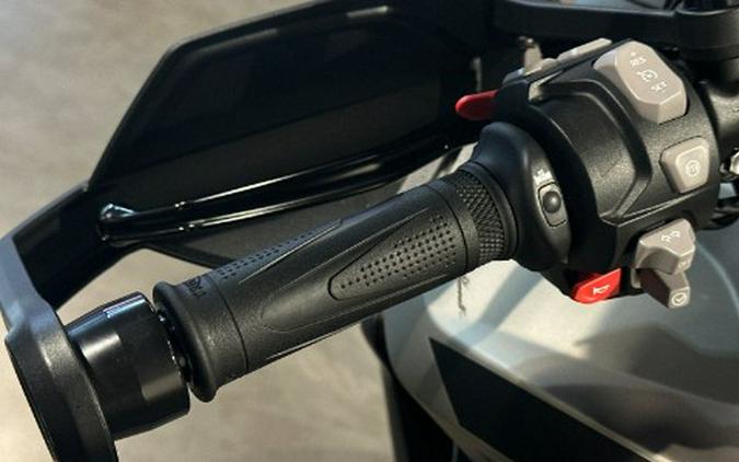 2025 Triumph Tiger 1200 Rally Pro