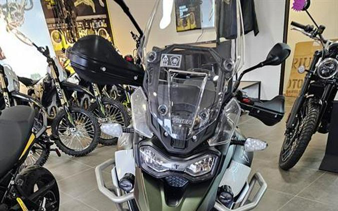 2025 Triumph Tiger 900 Rally Pro