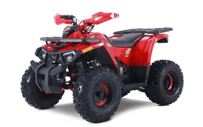 2026 MUDHAWK 10 - Denago Powersports