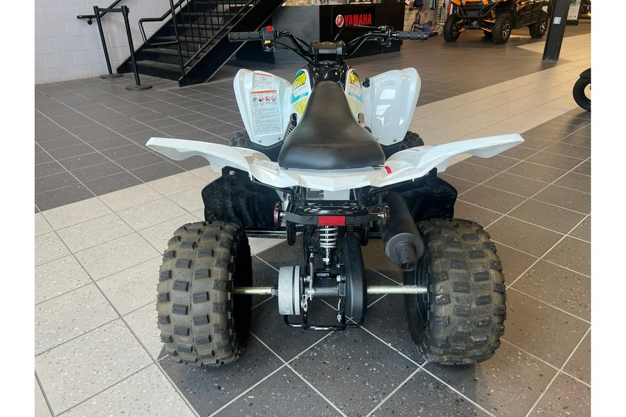 2021 Raptor 90 - Yamaha