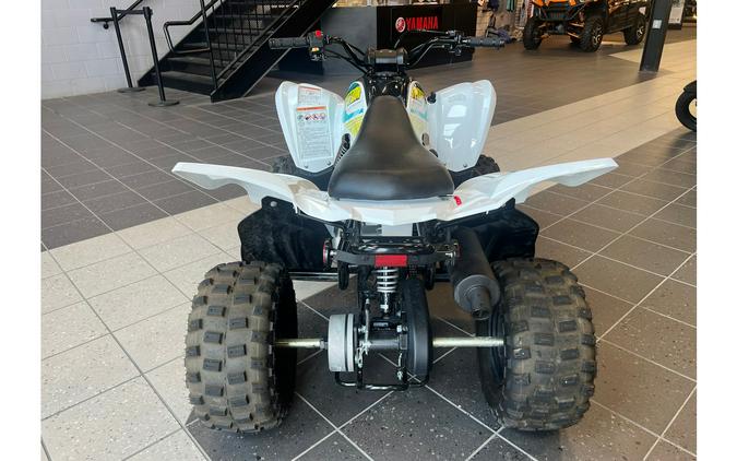 2021 Raptor 90 - Yamaha
