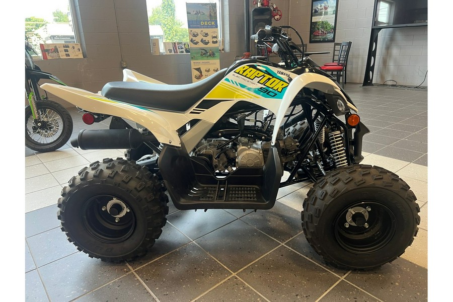 2021 Raptor 90 - Yamaha