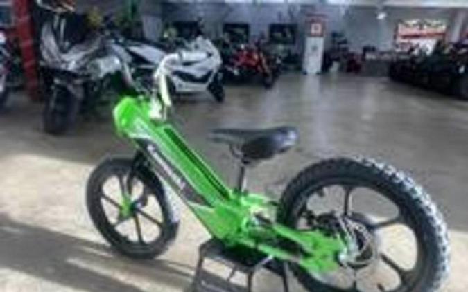 2023 Kawasaki Elektrode™