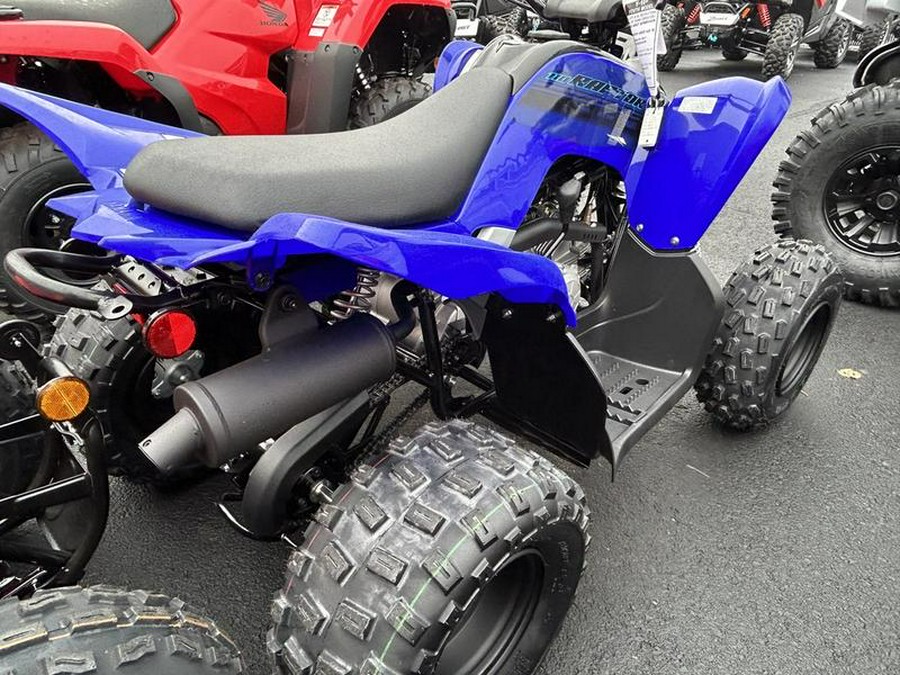 2024 Yamaha Raptor 110