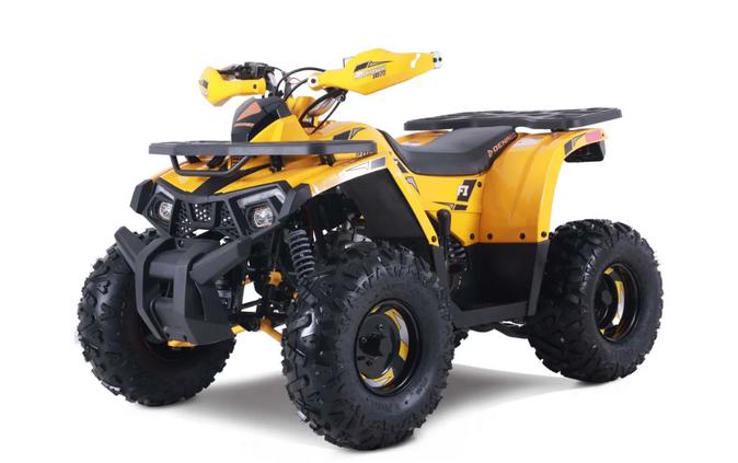 2026 MUDHAWK 10 - Denago Powersports