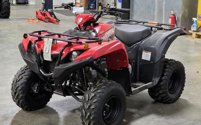 2025 Yamaha Grizzly 110