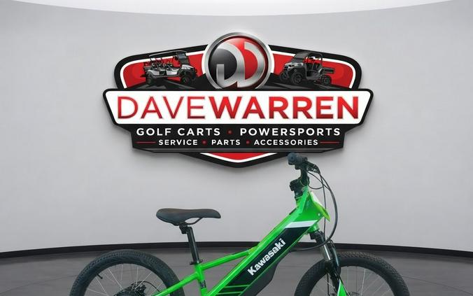 2025 Kawasaki ELEKTRODE 20 Lime Green - K10004