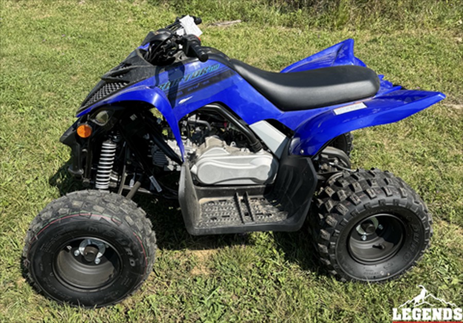 2024 Yamaha Raptor 110