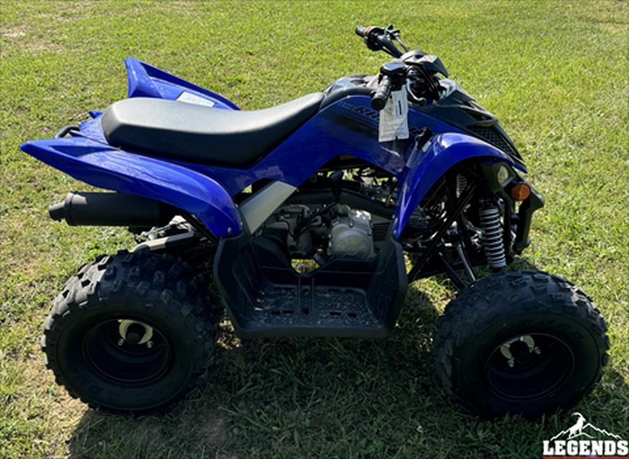 2024 Yamaha Raptor 110