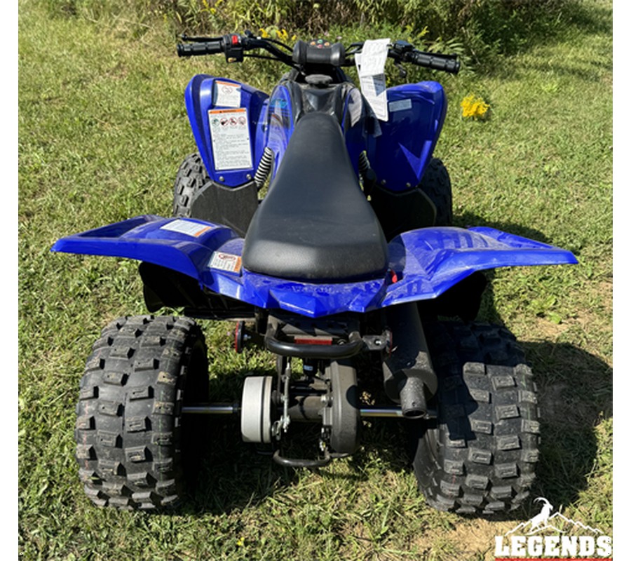 2024 Yamaha Raptor 110