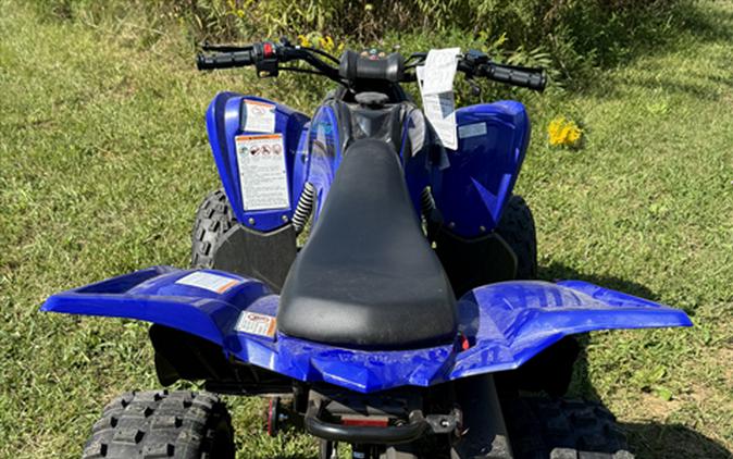 2024 Yamaha Raptor 110