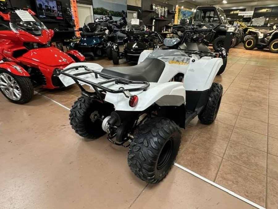 2024 Yamaha Grizzly 90