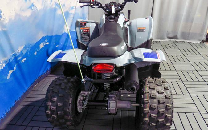 2026 Polaris Phoenix 200