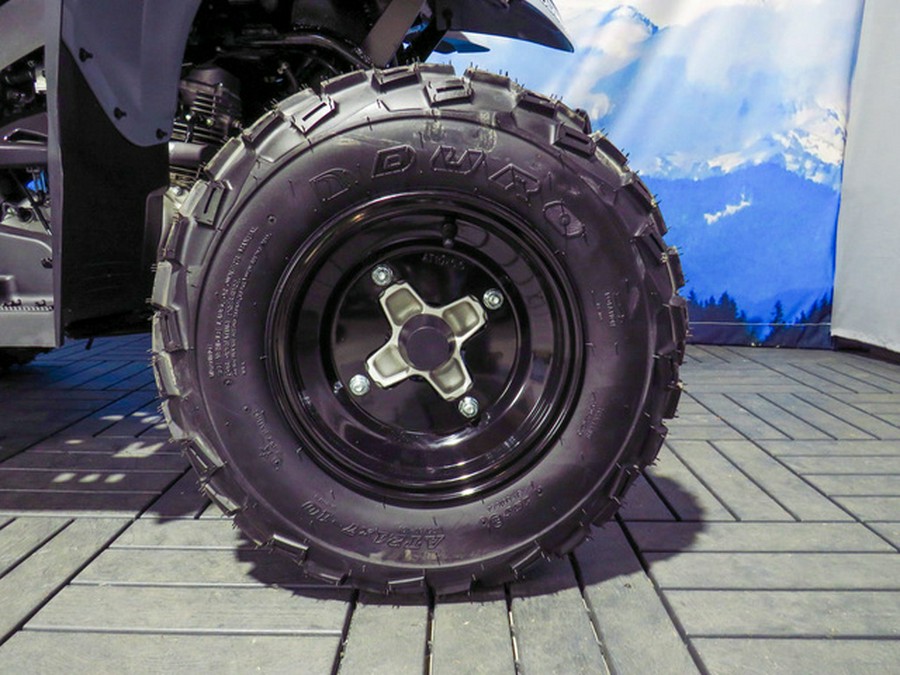 2026 Polaris Phoenix 200