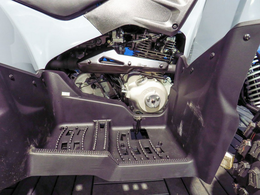 2026 Polaris Phoenix 200