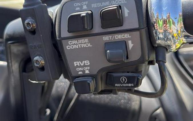 2010 Honda Gold Wing® Audio Comfort Navi XM
