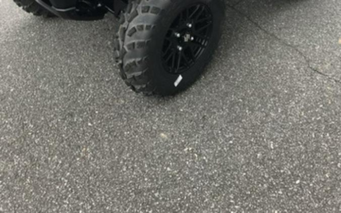 2025 Suzuki LT-A500XPZM5