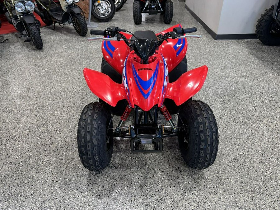 2024 Honda® TRX90X