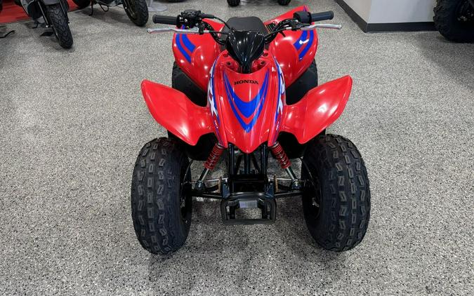 2024 Honda® TRX90X